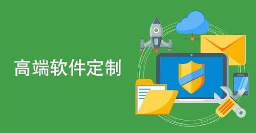 IT运维管理软件与网络技术服务费用解析